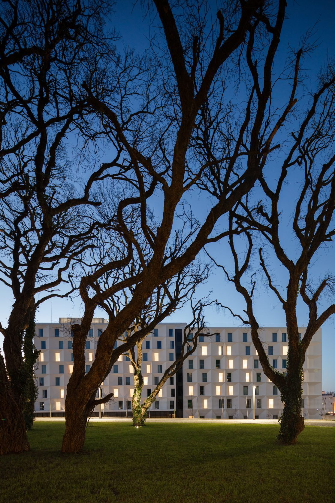 Asprela — 136