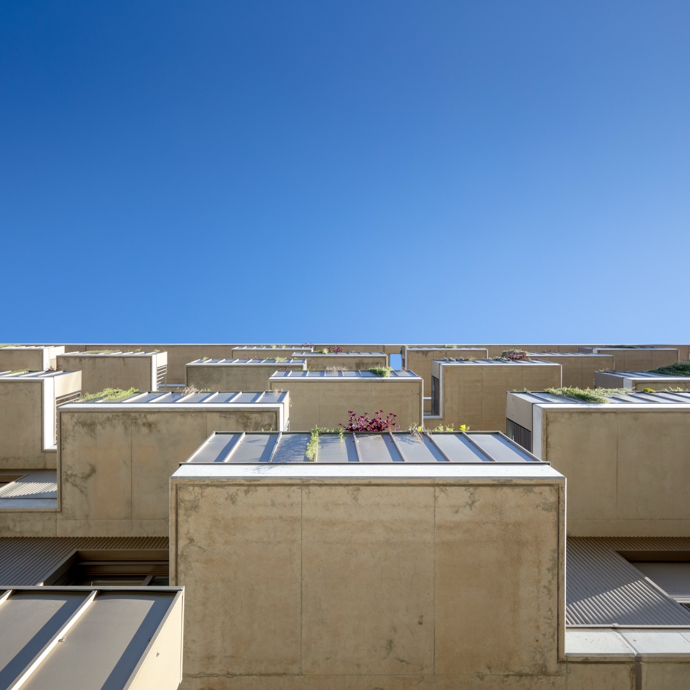 JM_GreenPlaza_056.jpg