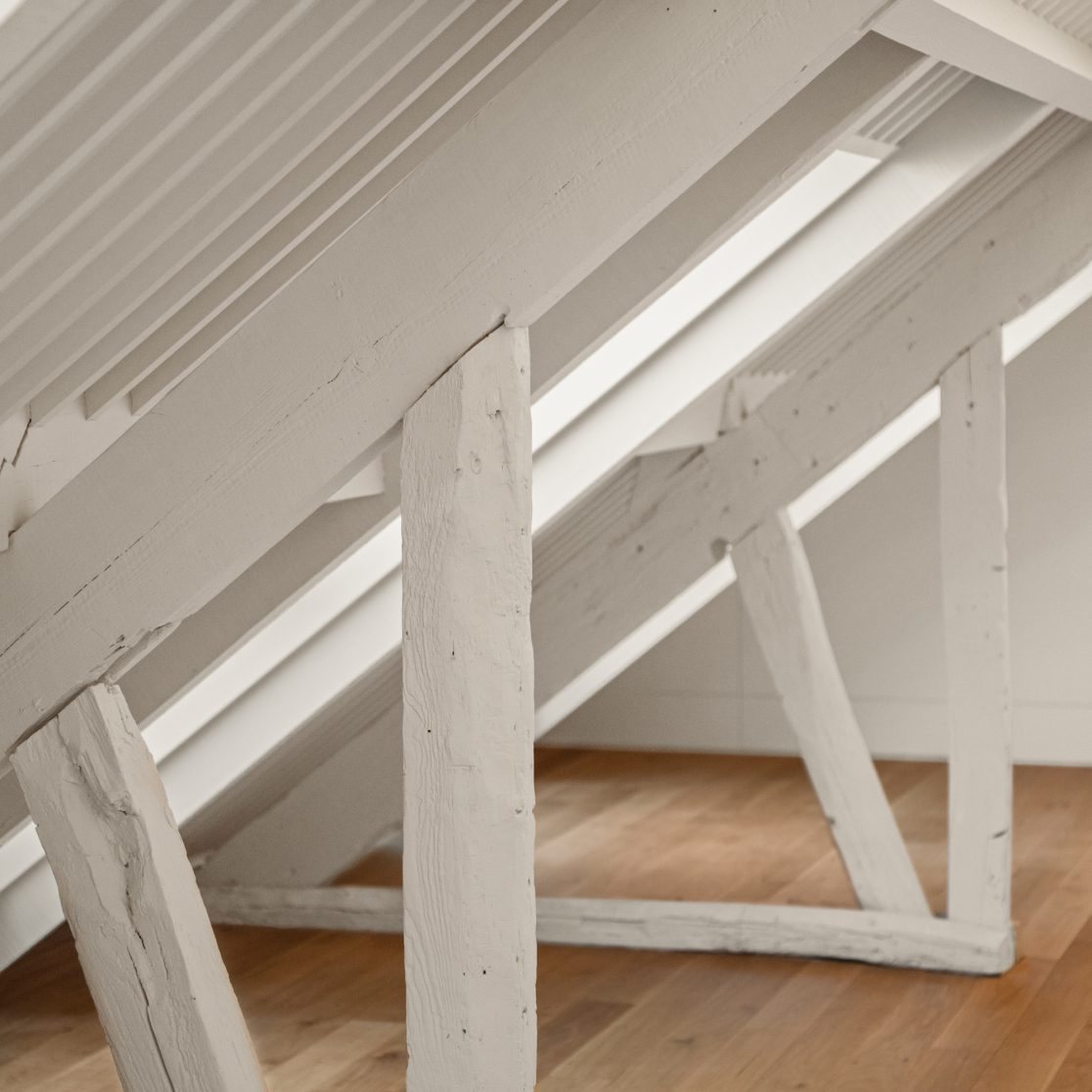 The Lince Santa Clara — 150