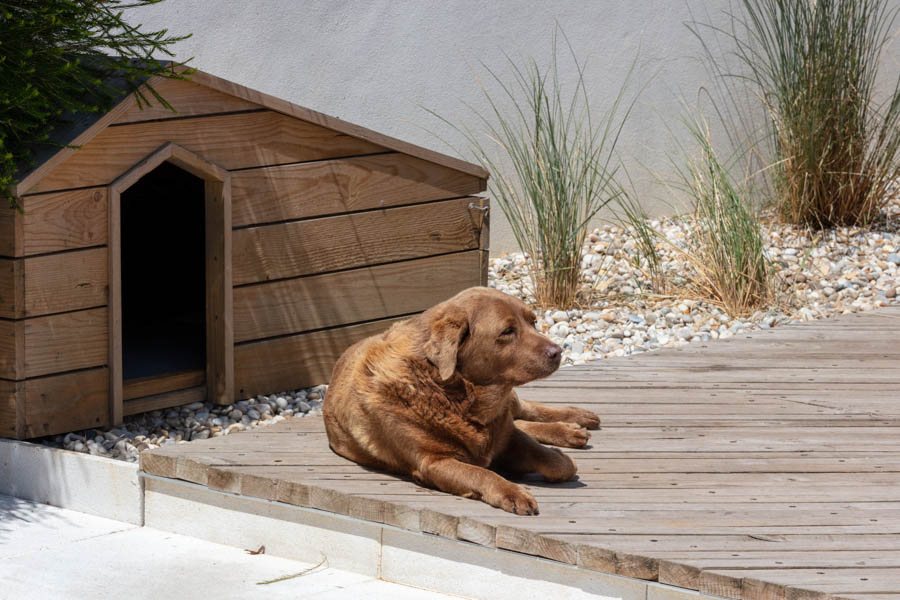 Sand House — 45