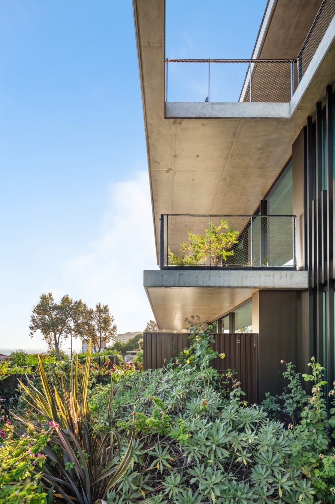 Savoy Residence Monumentalis — 356