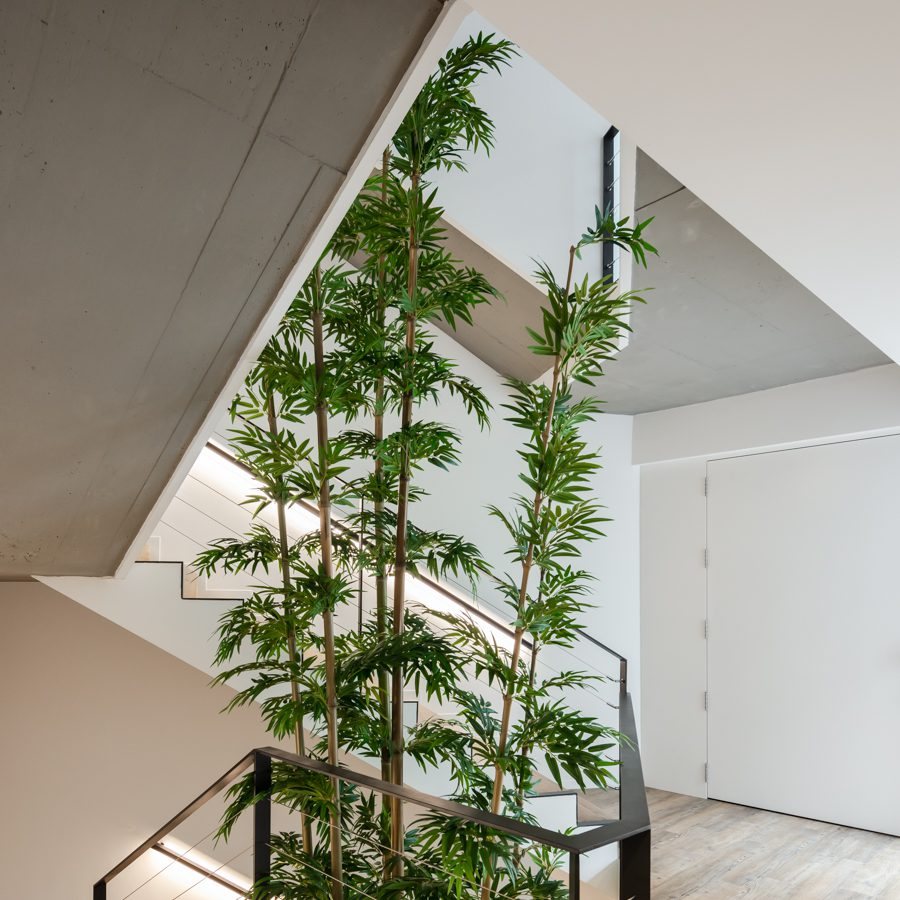 House in Foz — 43