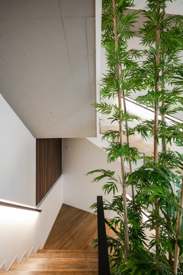 House in Foz — 53