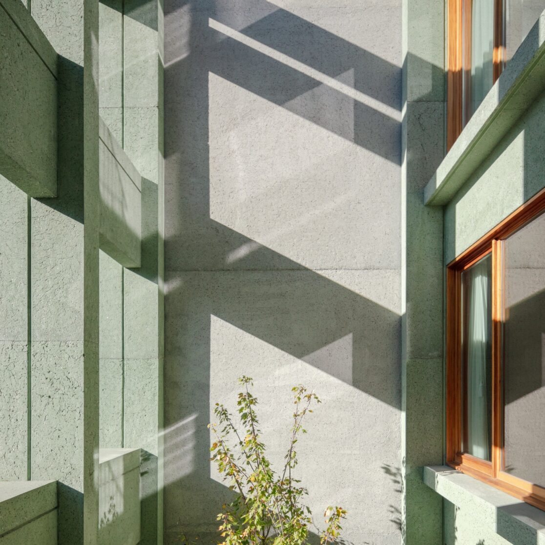 Casa da Árvore — 50