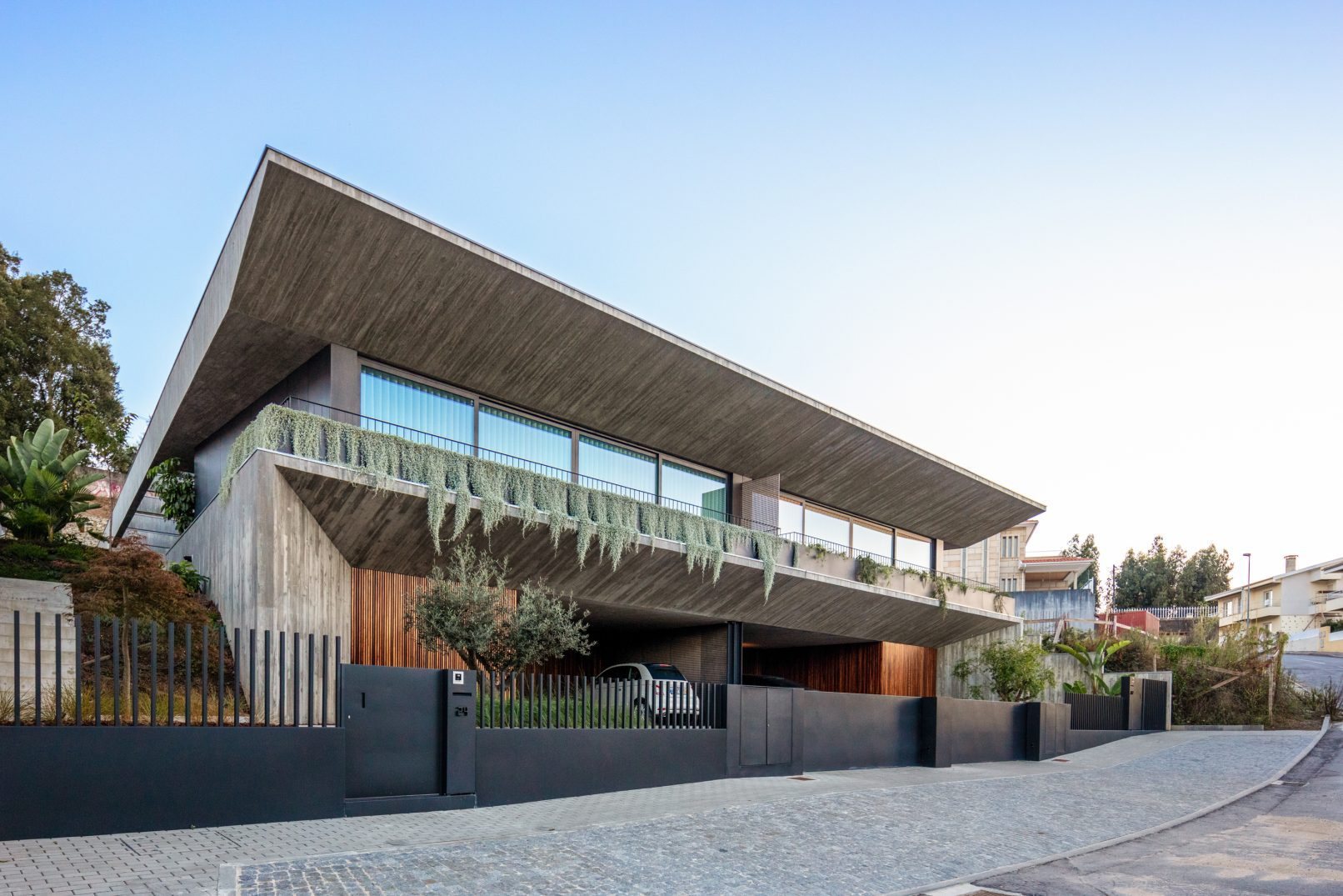 Camelia House