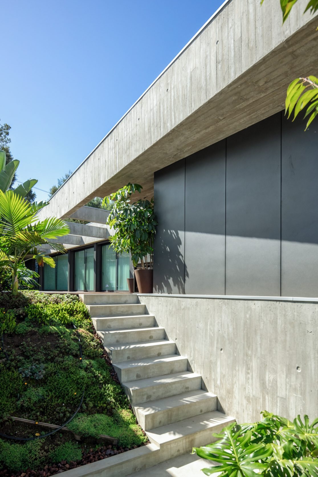 Casa das Camélias — 10