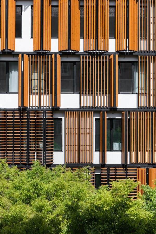 Lisbon Wood — 20