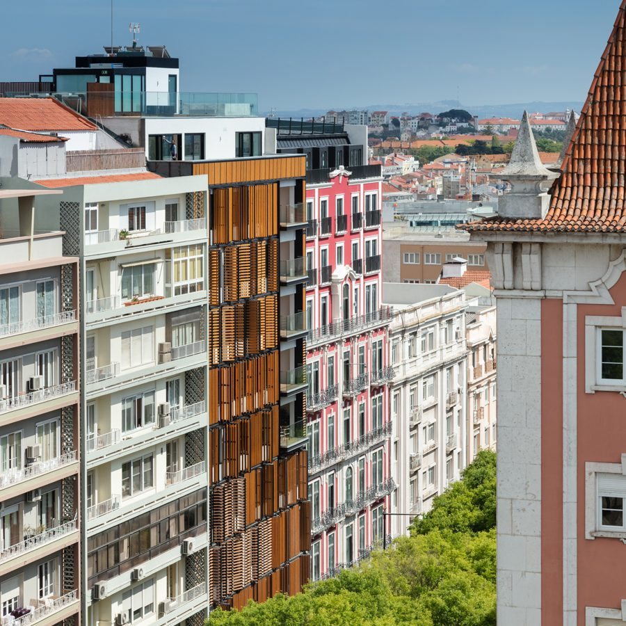 Lisbon Wood — 2