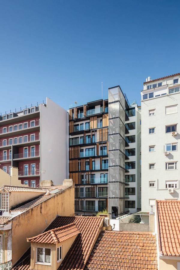 Lisbon Wood — 55