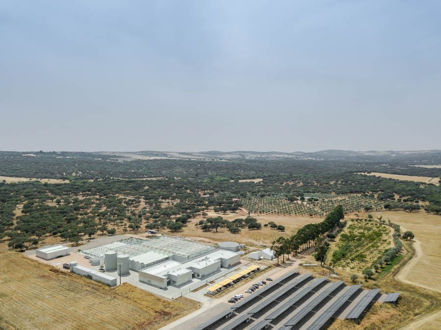 Industrial Complex in Herdade das Barrocas — 37