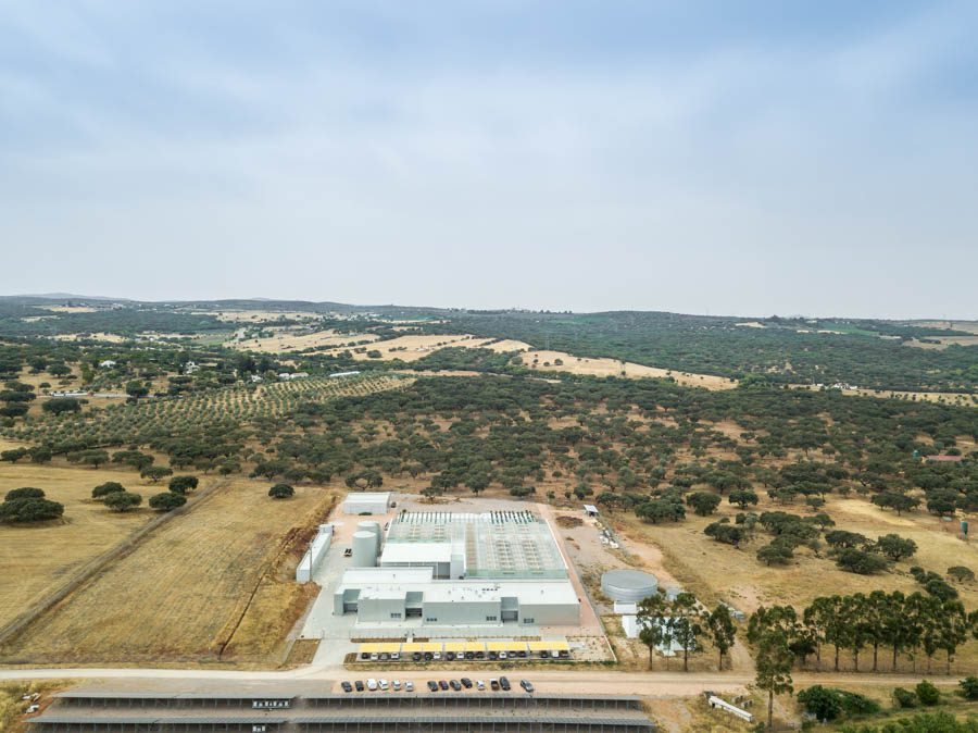 Industrial Complex in Herdade das Barrocas — 24