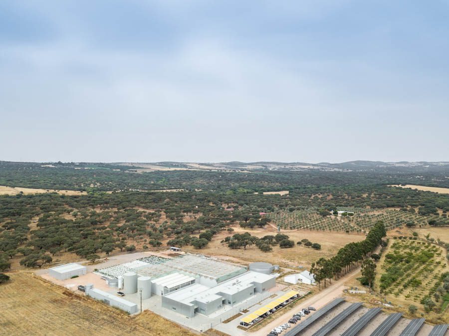 Industrial Complex in Herdade das Barrocas — 21