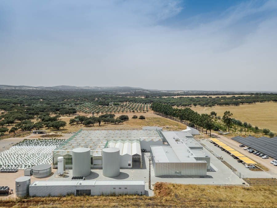 Industrial Complex in Herdade das Barrocas — 40