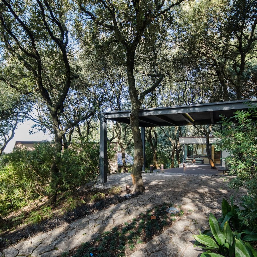 House in the Woods — 28