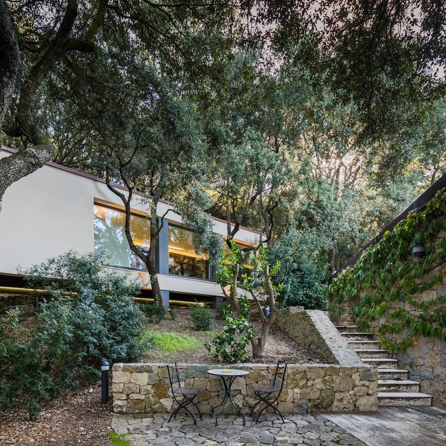 House in the Woods — 15