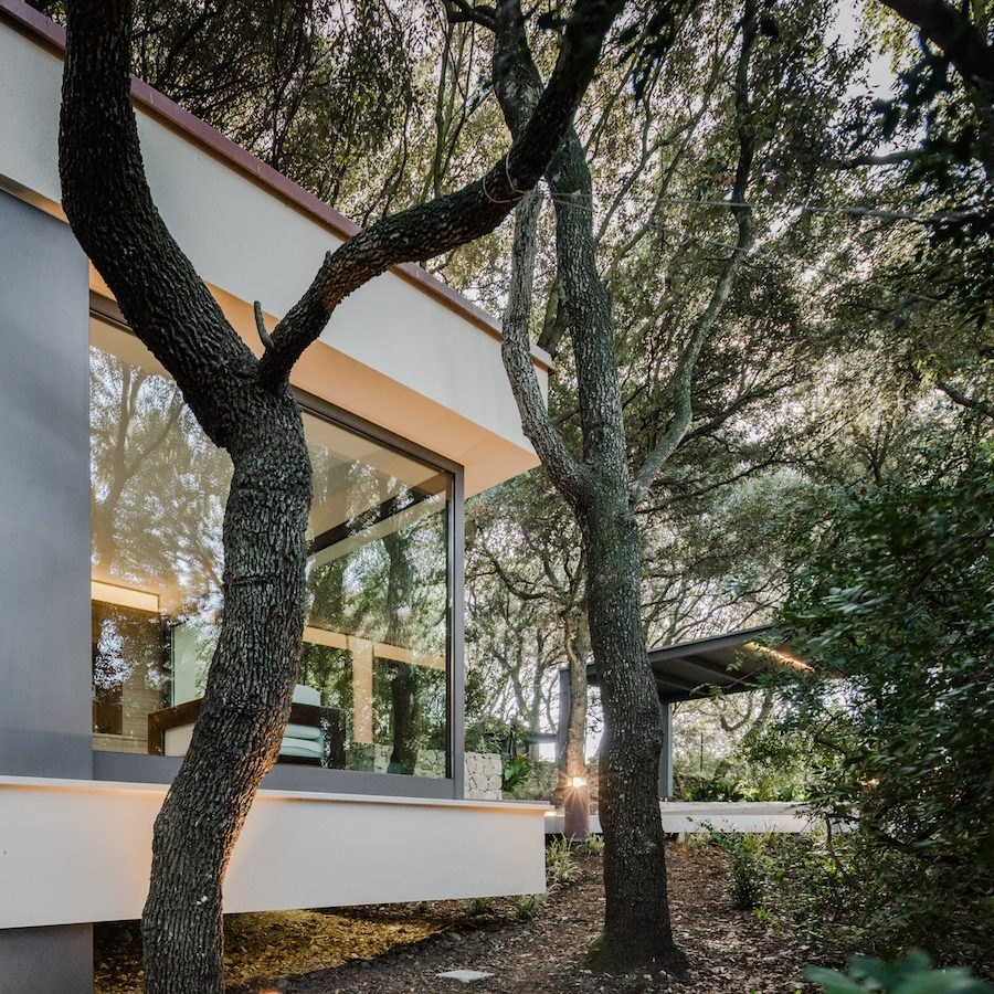 House in the Woods — 9
